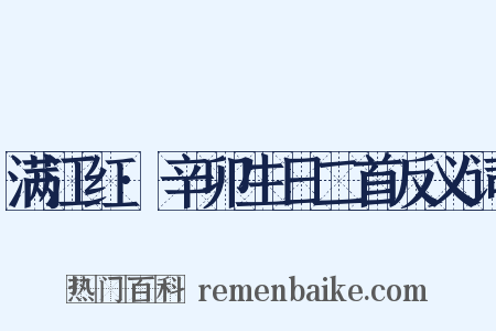 满江红·辛卯生日二首反义词是什么意思的图片